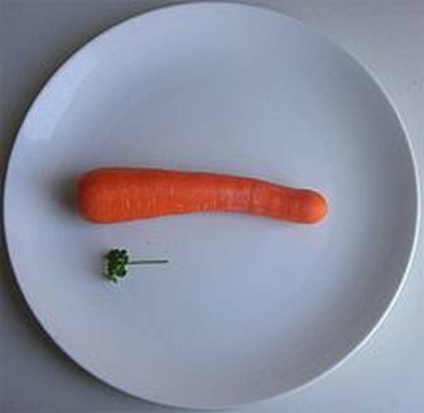 Vergleich Essen zum abnehmen / ernährungsumstellung einfach