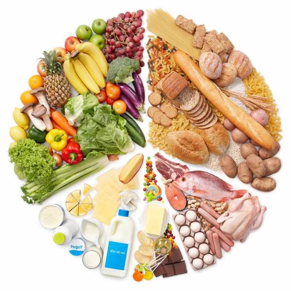 ernährungsplan ernährungsplan