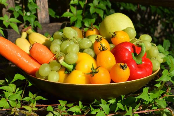 Vergleich Supplement oder gesund abnehmen Hinweis Vergleich Supplement oder gesund abnehmen Hinweis