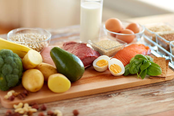 ernährungsplan ernährungsplan