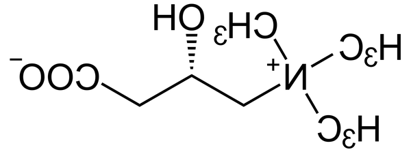 nahrungsergänzungsmittel nahrungsergänzungsmittel