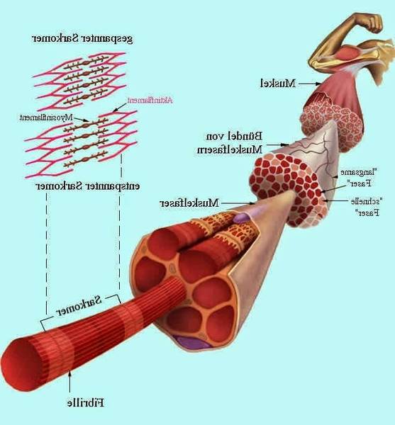 Vergleich Vitamine und glutamin Hinweis Vergleich Vitamine und glutamin Hinweis