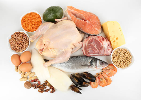 Entdecken Fettverbrennung : gesunde ernährung einfach
