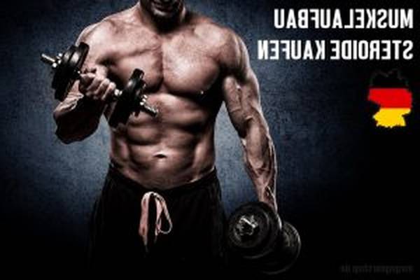 proteinpulver proteinpulver