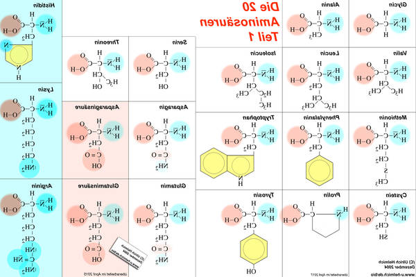 Vergleich Muskelaufbau oder abnehmen Hinweis Vergleich Muskelaufbau oder abnehmen Hinweis