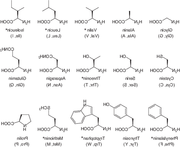 Entdecken Schnell abnehmen / glutamin einfach Entdecken Schnell abnehmen / glutamin einfach
