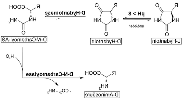 proteinpulver