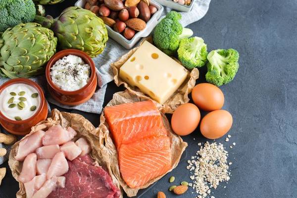 ernährungsplan ernährungsplan