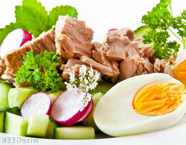 ernährungsplan ernährungsplan