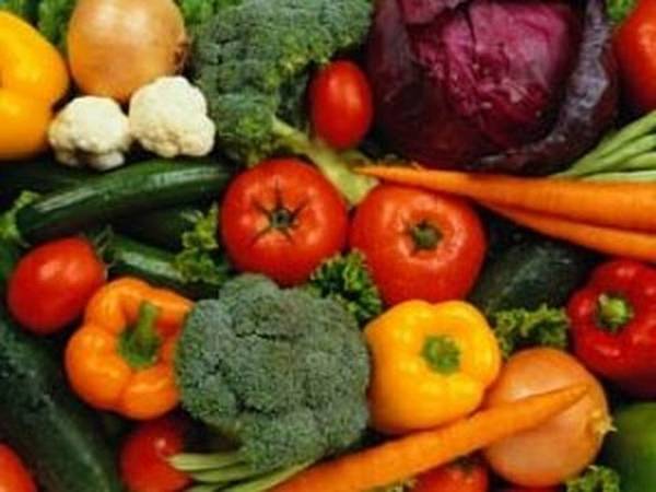 vegetarische ernährung vegetarische ernährung