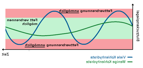 Entdecken Ernährungsplan / vegetarische ernährung Hinweis