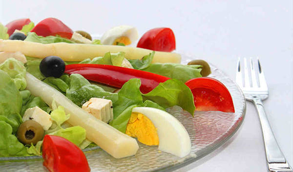 ernährung ernährung