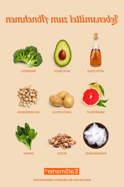 ernährungsplan ernährungsplan