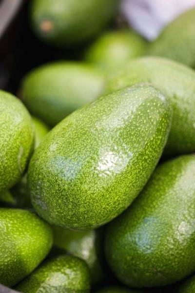 gesund abnehmen gesund abnehmen