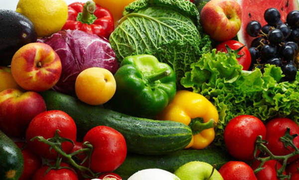 vegetarische ernährung vegetarische ernährung